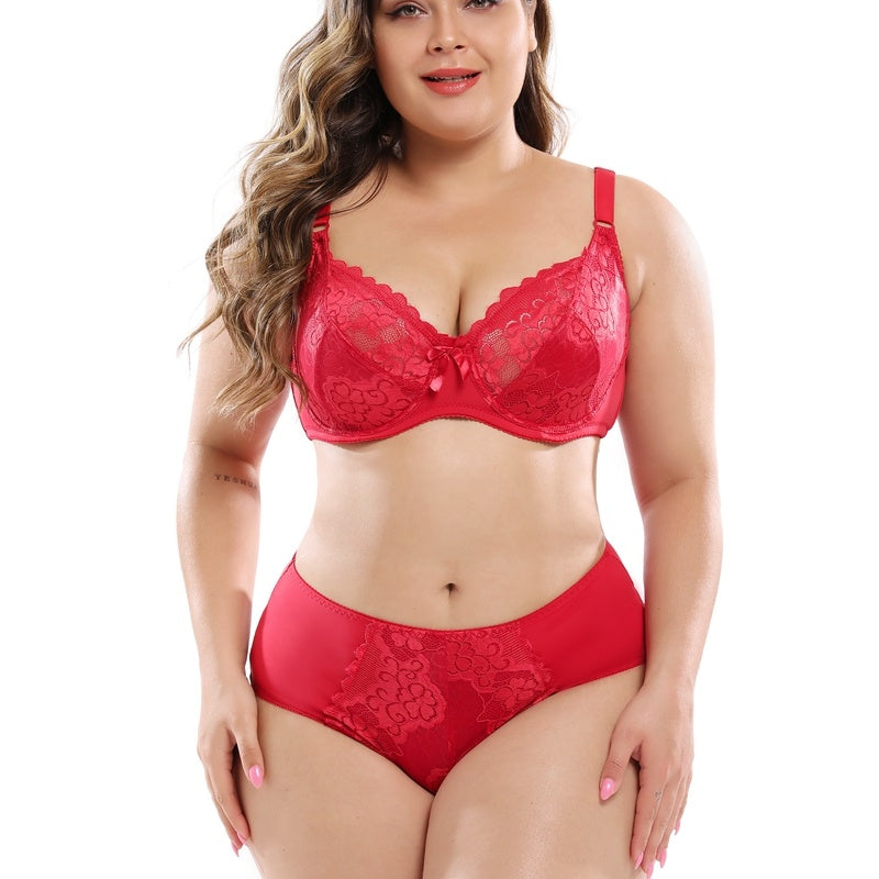 Lace plus size bra set