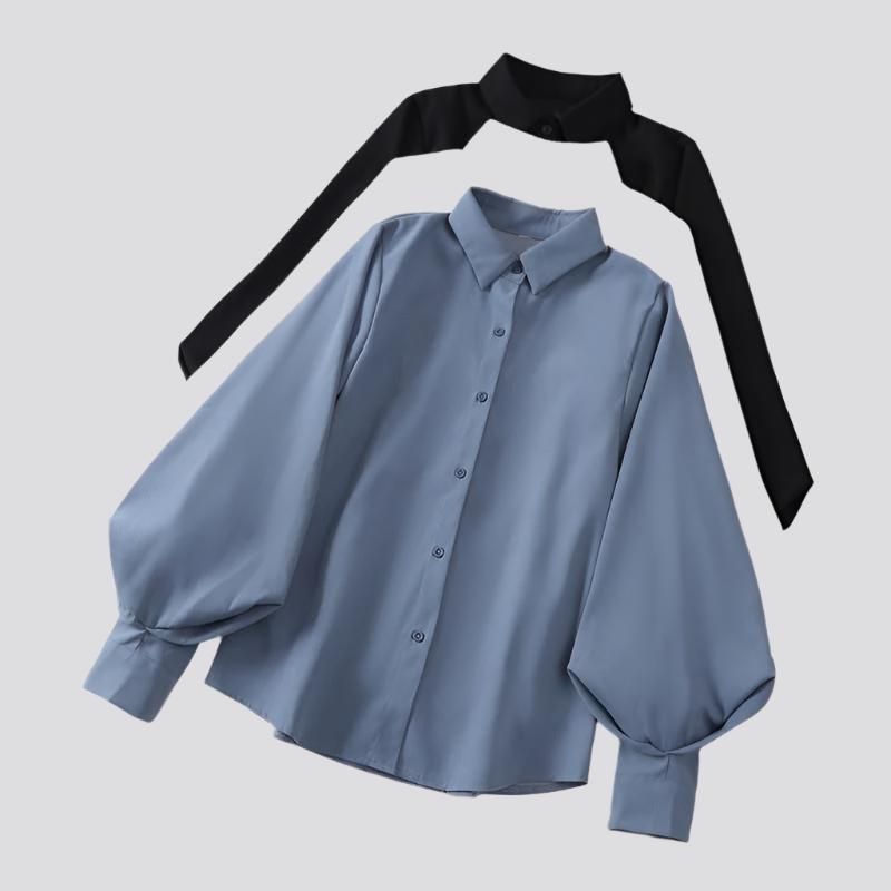 Lantern Sleeve Shirt Design Sense Niche Loose Long Sleeve Lapel Top