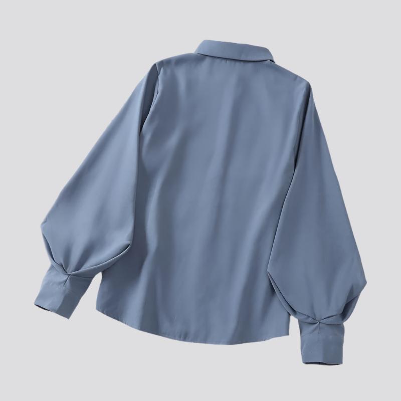 Lantern Sleeve Shirt Design Sense Niche Loose Long Sleeve Lapel Top